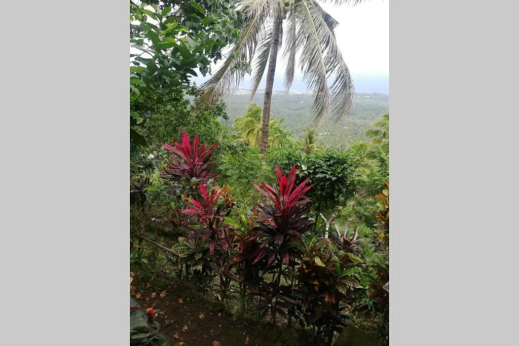 Appartamento The Balcony Of The Camiguin Island Mambajao Esterno foto