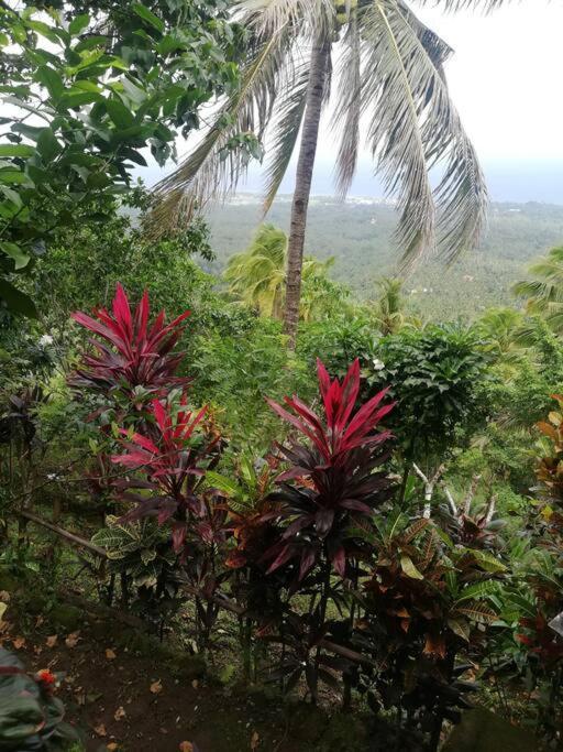 Appartamento The Balcony Of The Camiguin Island Mambajao Esterno foto